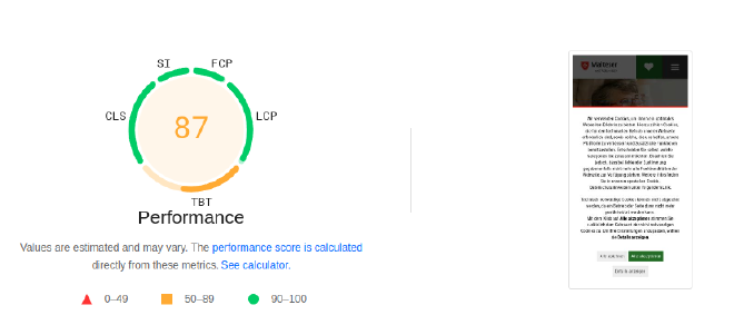 Google PageSpeed Insights malteser