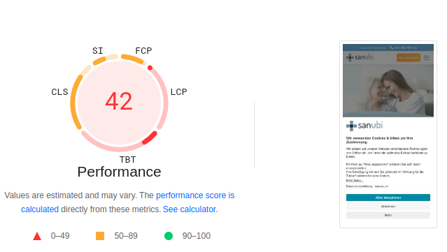 Google PageSpeed Insights sanubi